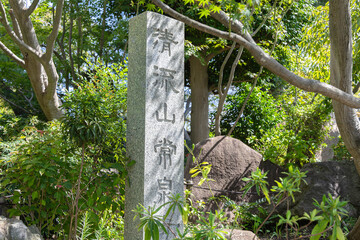 神奈川県大和市・常泉寺の彼岸花と緑に囲まれた境内の風景