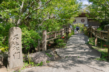 神奈川県大和市・常泉寺の彼岸花と緑に囲まれた境内の風景