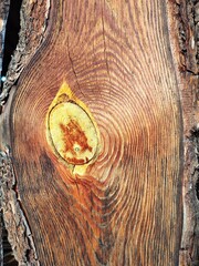 old wood texture, Natural old wood, beautiful textured antique wood, and quirky natural colors