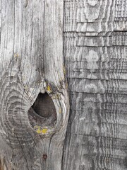 old wood texture, Natural old wood, beautiful textured antique wood, and quirky natural colors