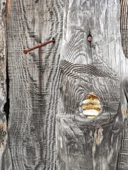 old wood texture, Natural old wood, beautiful textured antique wood, and quirky natural colors
