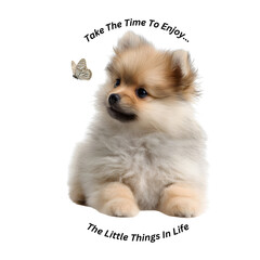 Enjoy the little things in life