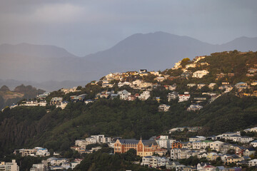 Obraz premium Neighborhood Built on a Hillside in Wellington, New Zealand at Golden Hour