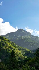 Fototapeta premium Verdant mountainscape