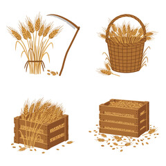 Farm wheat bundles and straw baskets with grain stalks, rustic harvest storage and autumn countryside illustration