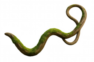 Twisted jungle vine covered with green moss, forming an abstract curve. Natural wood texture providing an organic element