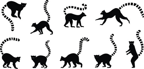 Black silhouette icons of ring-tailed lemurs in various poses showcasing movement, behavior, and anatomy for wildlife-themed design © Love's World