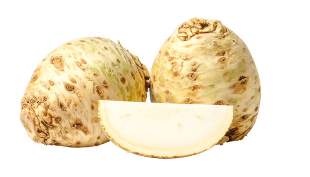 Two celeriac roots and a slice of celeriac, close up, in a studio shot, on transparent and white background