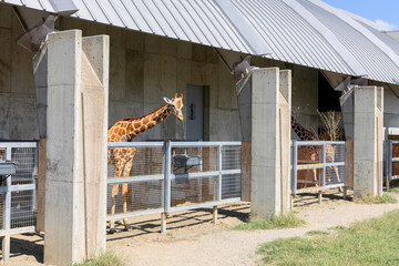 茨城県・霞ヶ浦ふれあいランドの現代的な建築と動物たち