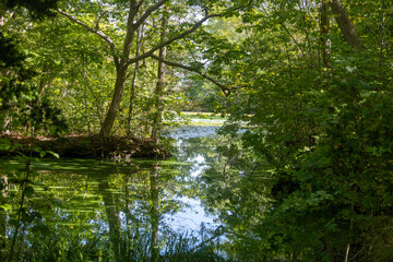 일본 하코다테 오누마 공원 호수