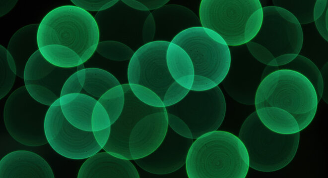 Soft green bubble lights creating a dreamy, out-of-focus effect