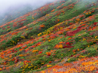 紅葉の栗駒山