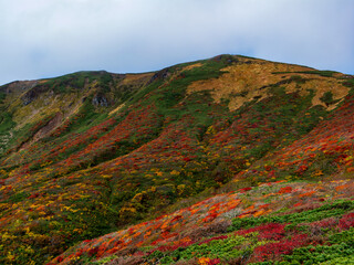 紅葉の栗駒山
