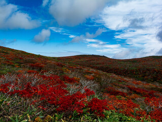紅葉の栗駒山