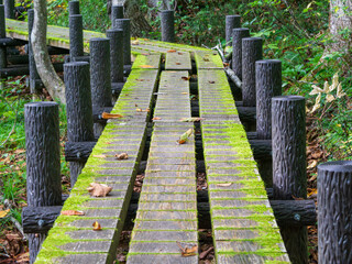 世界谷地湿原の木道