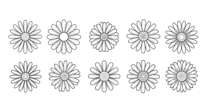 Collection of hand drawn daisy illustrations in black and white