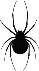 Spider Illustration Detailed Silhouette for Graphic Design and Web Decoration
