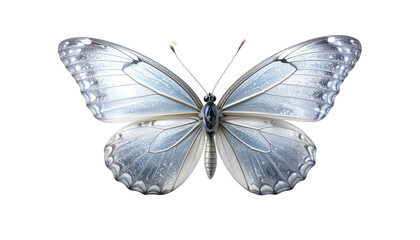 Fragile butterfly with frosted glass like wings and intricate veins, featuring silver and blue shades that create delicate and elegant appearance