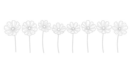 Delicate line art illustration of a row of stylized flowers
