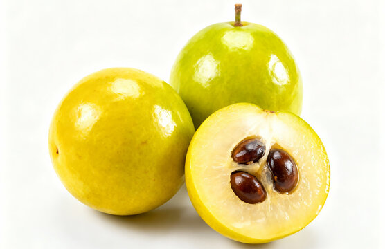 Pouteria Caimito
