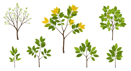 Fototapeta premium A collection of diverse trees and plants showcasing their unique foliage and branch structures.