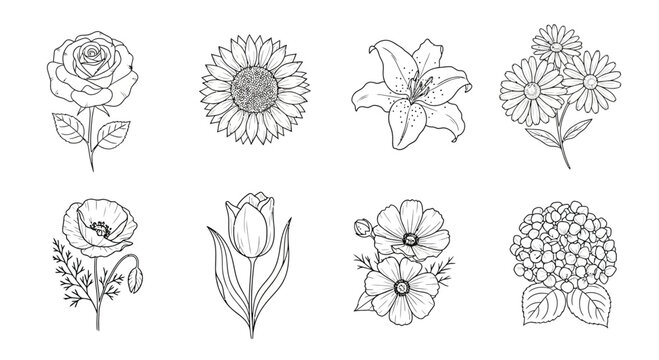 Collection of eight delicate line art floral illustrations on white background