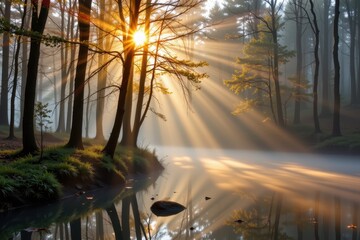 in a serene forest at dawn, the early morning mist rises gently to meet the warm sunlight filtering through the trees, the tranquil scene is bathed in a soft.