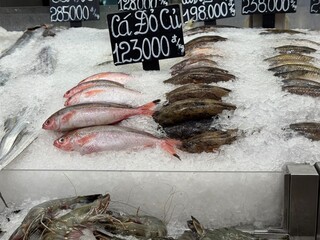 fresh fish on ice in Emart - hyper market Thisomall, Hochiminh City