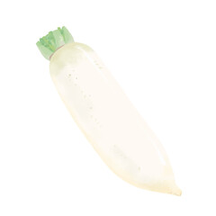 大根のイラスト