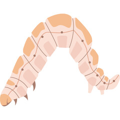 Cartoon illustration of a pale pink and orange segmented caterpillar with a curved body and small brown dots on a transparent background isolated on white studio background