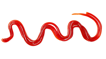 Drawn curved ketchup line with smooth red sauce texture showing tasty condiment and tomato detail isolated on white background