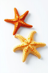 A Starfish Lying Flat On A White Background