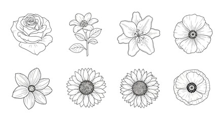 Hand drawn flowers isolated on white background in vintage style vector