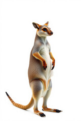 A Wallaby Standing Upright On A White Background