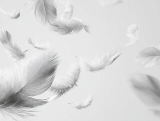 Obraz premium Close-up of several white feathers suspended in mid-air against a soft, bright background
