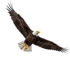Fototapeta premium Bald Eagle in Flight and Landing Pose Isolated on White or Transparent Background