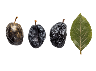 Three dried plums, varying in dryness, next to a green leaf