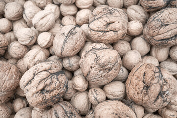 Close up photo walnuts of various sizes, selective focus.