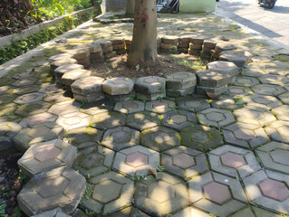 stone path in the park