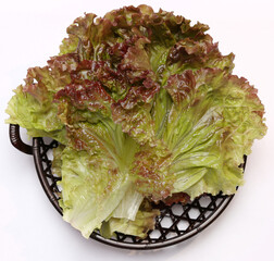Fresh Red Leaf Lettuce in a Basket