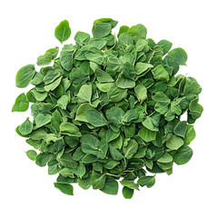 Fototapeta premium Top view of dried fenugreek leaves (methi) studio shot isolated on a white transparent background