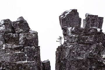 Little fir grows in massive rocks in mountains, snowing. © Saeedatun