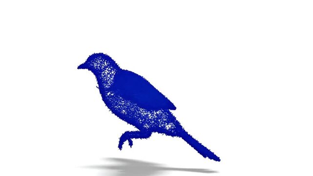 Micro Feather‑Speck Bird Formation and Dissipation on Pure‑White (Seamless 10&ndash;12s Loop)

