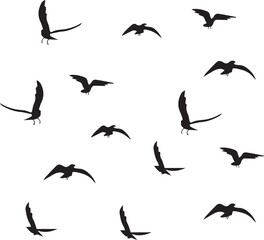 Silhouette of Flying Birds in the Sky Isolated on White Background