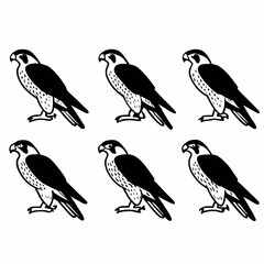 Collection of six falcon icons in black and white, each standing