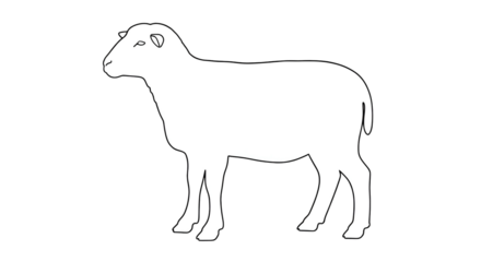 Silhouetted sheep, white coat, facing left on a black background