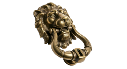 Metal lion door knocker with ring pull