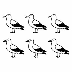 Six black and white seagull icons arranged in a grid pattern