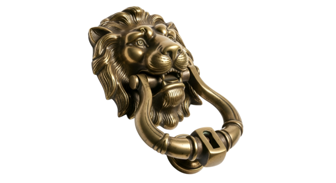 Metal lion door knocker with ring pull