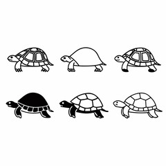 Illustration of turtles in different styles, a simple and clean design